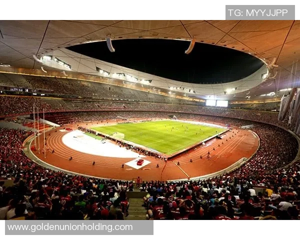 足球场上的歌声与激情中国足球明星的音乐之旅