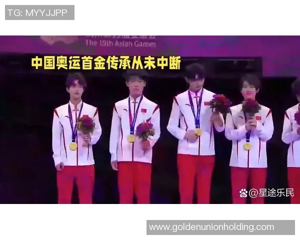 篮球明星729的传奇之路与荣耀时刻全景回顾